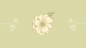 Bright White Minimalist Flower Computer Wallpaper