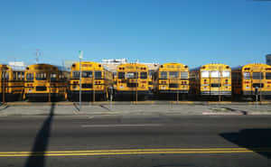 Bright Yellow School Bus On A Sunny Day Wallpaper