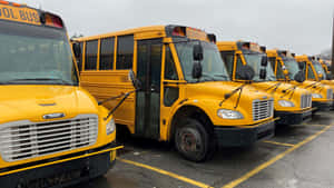 Bright Yellow School Bus On A Sunny Day Wallpaper