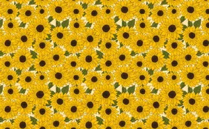 Bright Yellow Sunflower In Full Bloom Wallpaper