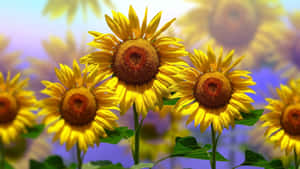 Bright Yellow Sunflowers Wallpaper