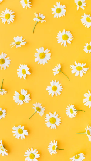 Brighten Up Any Room With This Vibrant Yellow Aesthetic Wallpaper