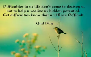 Brighten Up Your Day With A Positive Message Wallpaper