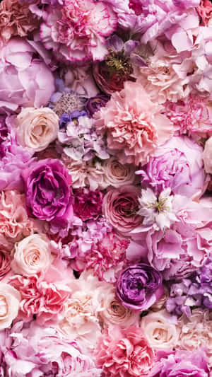 Brighten Up Your Life With This Light Pink Floral Iphone Wallpaper