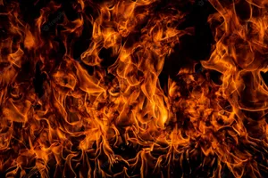 Brightening Up Your Day Wallpaper