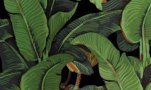 Brightly Colored Banana Leaf Artwork Wallpaper