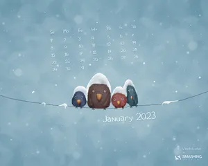 Brightly Colored Fish Swimming In The Sea Wallpaper