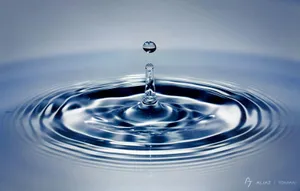 Brightly Colored Paper Clips Wallpaper