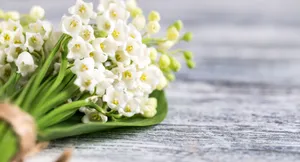 Brightly Colored Stream Of Light Encircling The Night Sky Wallpaper