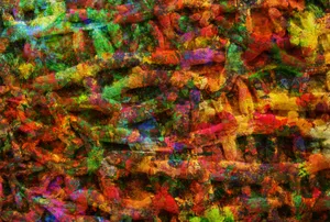 “brightly Coloured Bacteria Magnified Under A Microscope