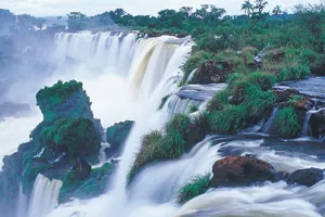 Brightly Coloured Pink Flowers In A Garden. Wallpaper