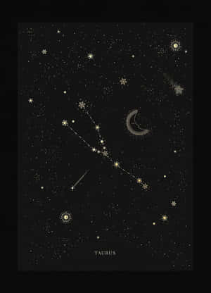 Brilliant Constellations In The Night Sky Wallpaper