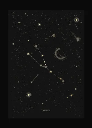 Brilliant Constellations In The Night Sky Wallpaper