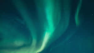 Brilliant Display Of The 4k Aurora Wallpaper