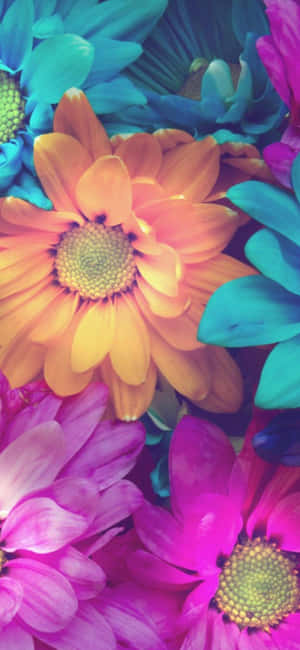 Bring A Touch Of Beauty To Your Phone With This Colorful Flowers Iphone Wallpaper. Wallpaper