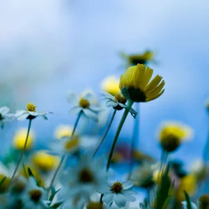 Bring Out The Best Of April As You Enjoy The Outdoors With Your Ipad Wallpaper