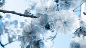 Bring The Beauty Of Color And Nature Into Your Home With The Soft Colors Of The Blue Flower Aesthetic. Wallpaper