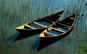 Broken Boat In Lake Wallpaper