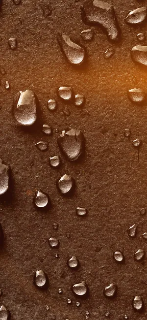 Bronze Panel With Moisture Wallpaper