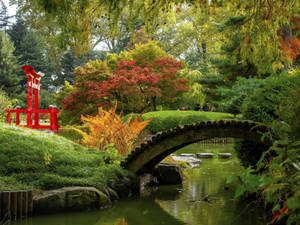 Brooklyn Botanic Garden Wallpaper