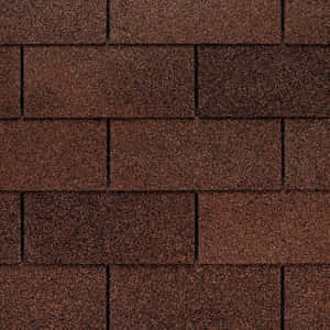 Brown Autumn Forest Scenery Wallpaper