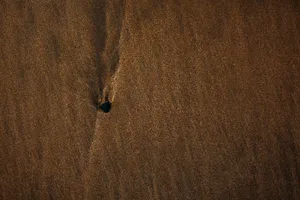 Brown Mac Os Background Wallpaper