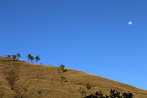 Brown Mountain And Moon Pemandangan Wallpaper