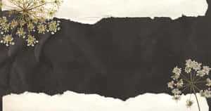 Brown-tailed Moths Enjoying A Brightly Colored Flower Wallpaper