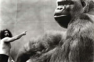 Bruiser Brody As King Kong Body Wallpaper