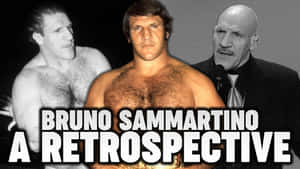 Bruno Sammartino A Retrospective Poster Wallpaper