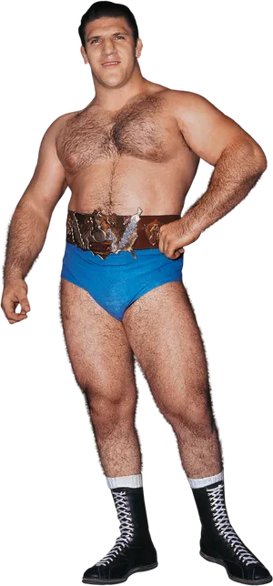 Bruno Sammartino Minimalist Poster Wallpaper