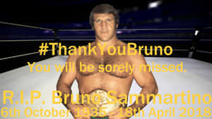 Bruno Sammartino Tribute Poster Wallpaper