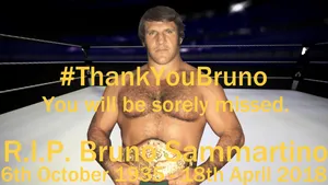 Bruno Sammartino Tribute Poster Wallpaper