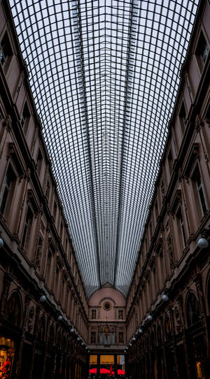 Brussels Gallery Ceiling Wallpaper