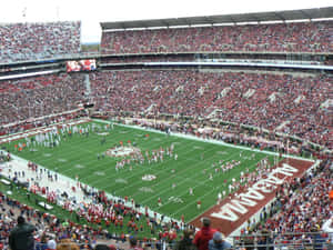 Bryant-denny Stadium Football Field Wallpaper