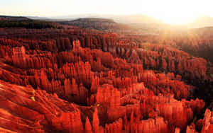 Bryce Canyon National Park Crimson Glow Wallpaper