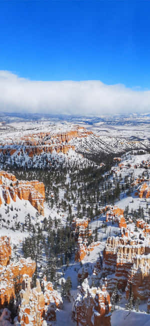 Bryce Canyon National Park Deep Snow Wallpaper