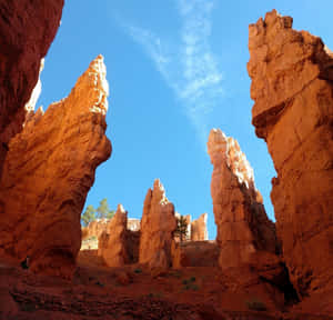 Bryce Canyon National Park Navajo Loop Trail Wallpaper