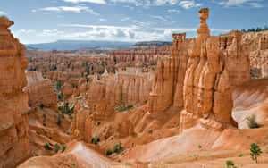 Bryce Canyon National Park Steep Slope Wallpaper