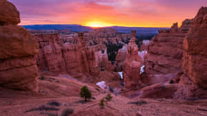 Bryce_ Canyon_ Sunset_ Glow_4 K Wallpaper