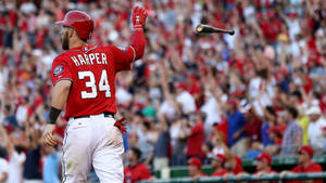 Bryce Harper Crowd Wallpaper