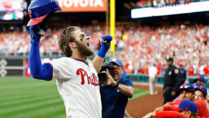 Bryce Harper In The Crowd Wallpaper