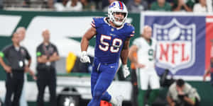 Buffalo Bills Linebacker Action Wallpaper