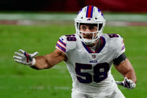 Buffalo Bills Linebacker Action Wallpaper