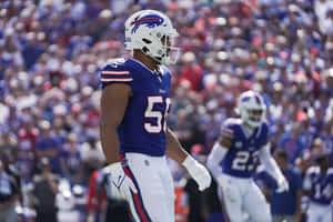 Buffalo Bills Linebacker Game Day Wallpaper