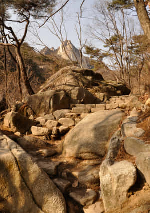 Bukhansan National Park Trail Wallpaper