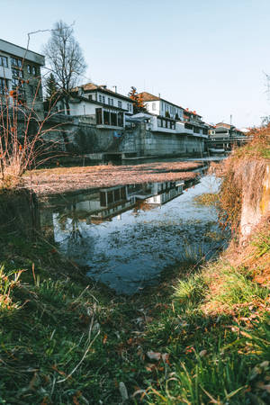 Bulgaria Backyard Creek Wallpaper