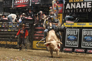 Bull Riding Actionat P B R Event Wallpaper