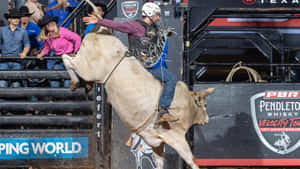 Bull Riding Actionat P B R Event Wallpaper