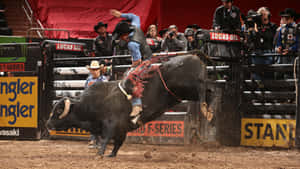 Bull Riding Actionat P B R Event Wallpaper